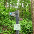 석탄(중석) | 초보자도 가능한 운탄고도 5길 트래킹코스 하이캐슬 리조트 출발