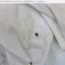 엑슬루세탁소 네이버블로그