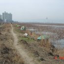 선화2리 이미지