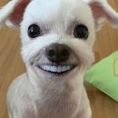 [문 일기] 출장 전엔 왜 매번 바쁜가