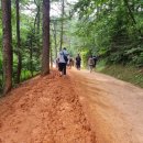 계족산산골보리밥 이미지