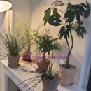 베이커리강빵 이미지