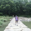 상어동천 이미지