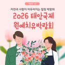 국제문화교류관 야외정원 | [충청남도 도민리포터] 2026 태안국제원예치유박람회 꽃처럼 피어나는 치유의 시간