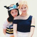 미리사