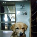 먹보칼국수 이미지