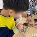 동신초교병설유치원 이미지