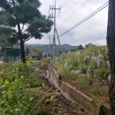 대명중기 이미지