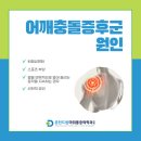 춘천드림마취통증의학과의원 이미지