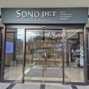 소노문 비발디파크 이미지