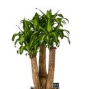 (주)자람디자인 이미지