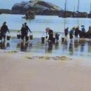 푸른스틸 이미지