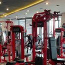 고포잇짐 이미지