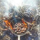 귀촌펜션 이미지