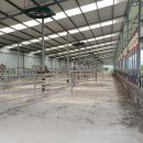 안동목장 이미지