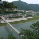 고씨