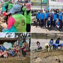 만수정비 이미지