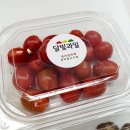 달빛과일 동탄점 네이버블로그