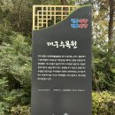 주말에 다녀온, 대구 수목원 국화전시회 솔직후기!