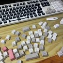 코코룩 | 또 시작된 블챌