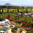 오조리-1 이미지