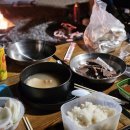 펫츠런파크 이미지