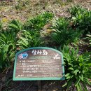 옥마정 네이버블로그