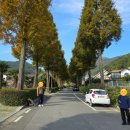 용소민박 | 한국 속 작은 아메리카 남해 여행 미국마을 탐방 후기