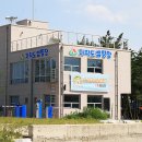 고성국화꽃향기 이미지