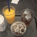 능이네오리세상 이미지