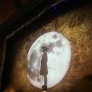 뮤지컬 시라노 솔직 담백 후기 및 줄거리 : 좌석, 시야, 주차, 대중교통, 짐보관, 꿀팁