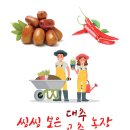 죽암대추농원