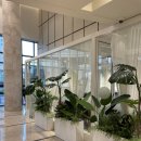 블루코스트 이미지