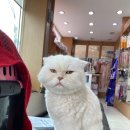 백제동물병원 이미지