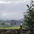 마이산 꽃 펜션 이미지