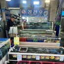 성진호 | 태안 수산물 판매장에서 즐긴 싱싱한 회와 꽃게찜, 성진호 방문 후기