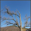 새집만석꾼 | 대구 남평문씨 본리 세거지_171224