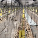 동규농장 이미지