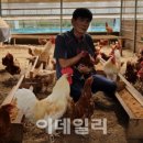 산계농장 이데일리