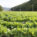 두메산골농산