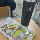 예산-66 | 66회 간호사 국가시험 후기