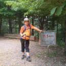 올레휴