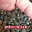 거두분식 이미지