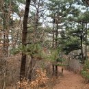 서해랑길 67코스 노을지는갯마을-갯다리염전-안흥염전-연포해수욕장 여행기록