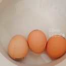 호돌이농장 | [푸드코리아] 난각번호 1번 계란 숫자 보는법 동물복지 유정란