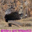 시시 Daum카페