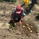 서울농장 | 괴산 서울 농장 1박2일 후기 : 6월 14일~6월15일 일정 *기록