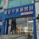 헬로우동물병원 이미지