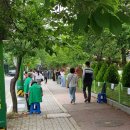 도복의바람소리가울려퍼지는TOP태권도 이미지