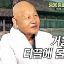 뜰앞의 잣나무 / 대한불교조계종 종정 중봉 성파 대종사 이미지